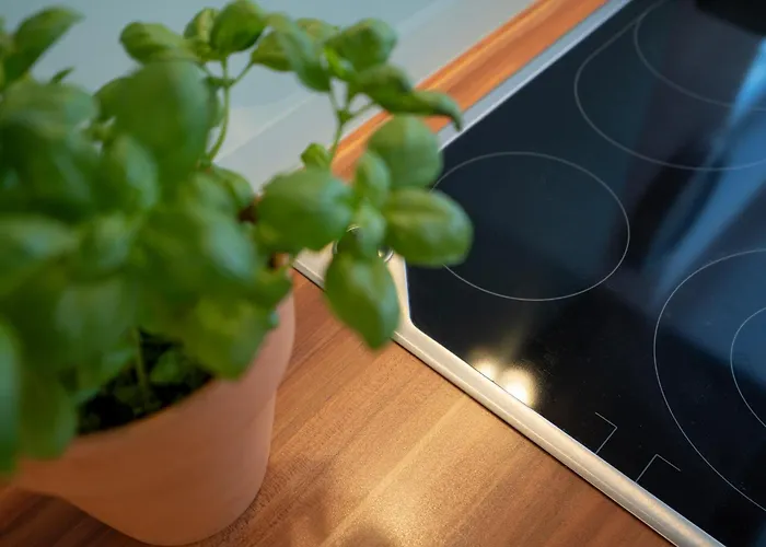 Bad 501 Apartamento *